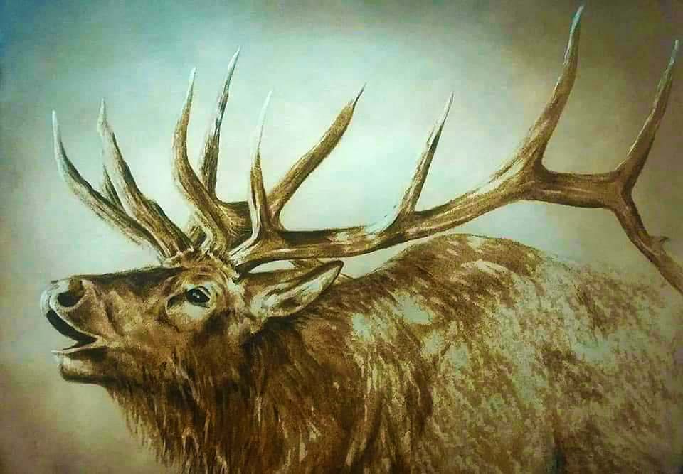 Galeria de Arte Bobbi Brooks Thompson  Art Gallery